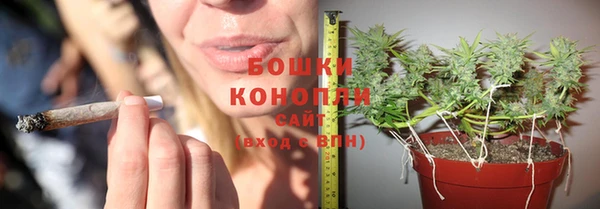 метадон Лагань