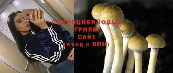 крисы Краснослободск