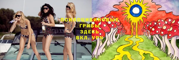 крисы Краснослободск