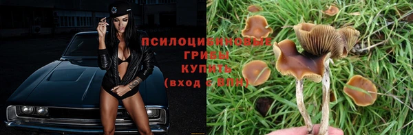 крисы Краснослободск