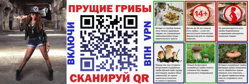 купить  цена  Котельнич  Псилоцибиновые грибы GOLDEN TEACHER 